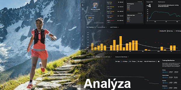 analyza